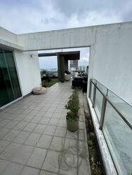Coralis (D15), Condominium #559930181